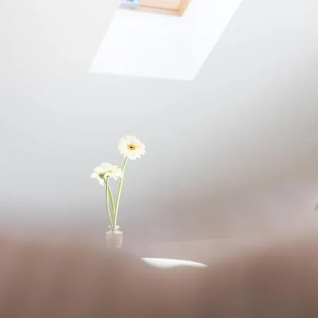 Apartmán Grosszuegige - Palm Beach, Playmobil, Naehe Nuernberg *